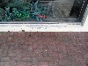 IMG_0222.jpg